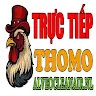 ĐÁ GÀ TRỰC TIẾP ALVEOCLEANAIR