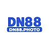 DN88