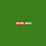 Bongdalu