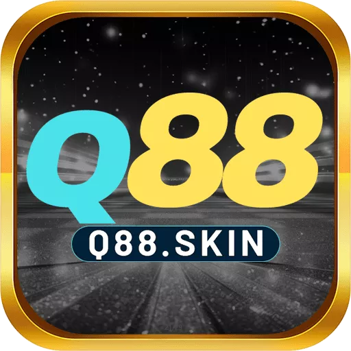 q88skin