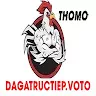 ĐÁ GÀ TRỰC TIẾP VOTO