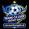cacuocbongda
