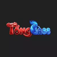 TỔNG GÀ 88