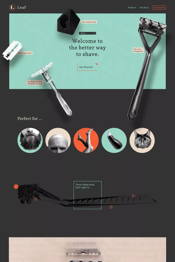 Home - Leaf Shave - Other design inspiration