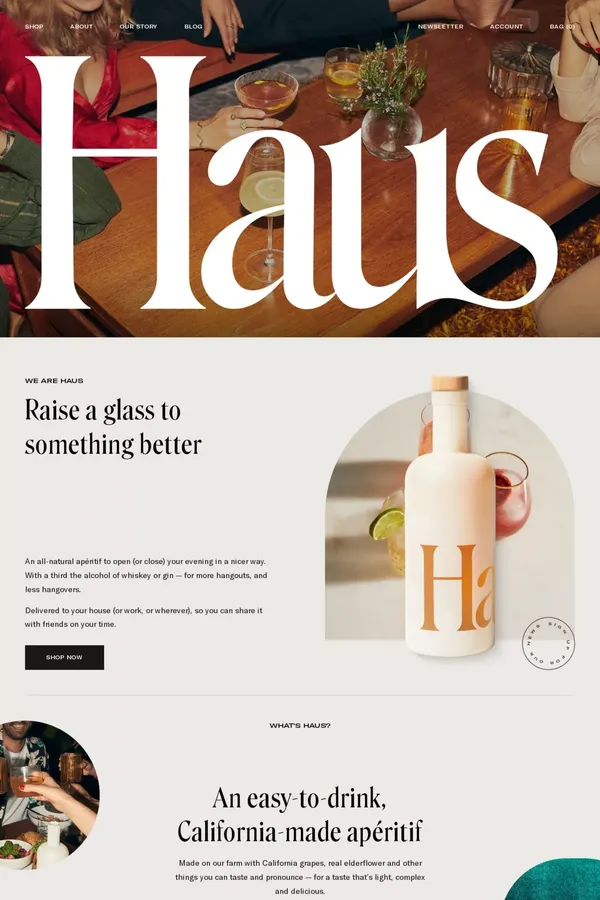 Haus - Ecommerce design inspiration