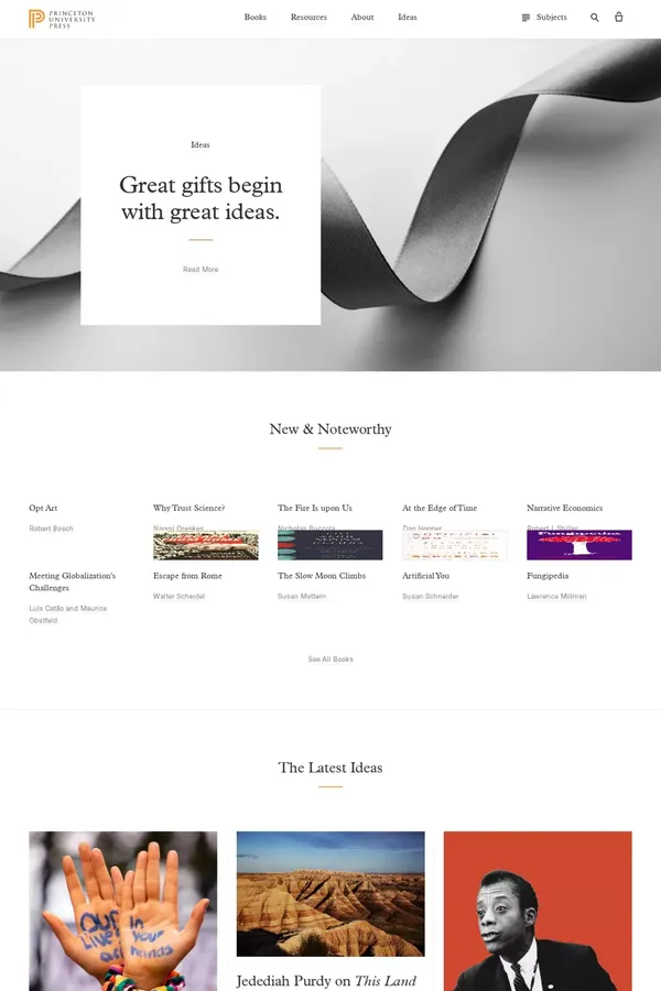 Princeton University Press - Blog design inspiration