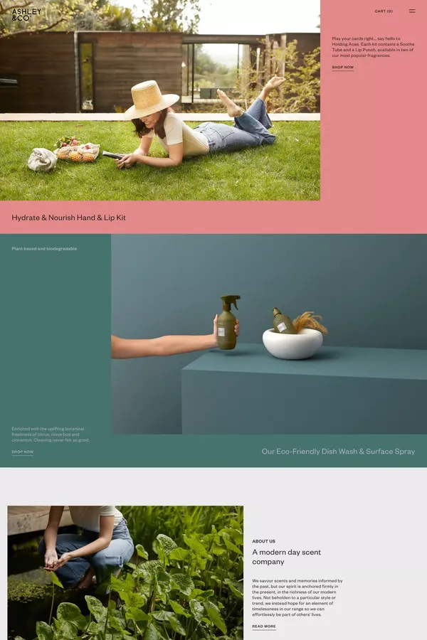 Index - Ashley & Co - Landing design inspiration