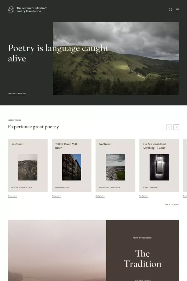 The Adrian Brinkerhoff Foundation - Blog design inspiration