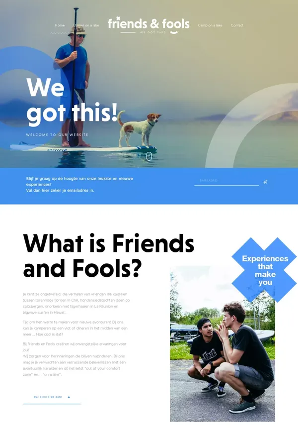 Friends & Fools - Portfolio design inspiration