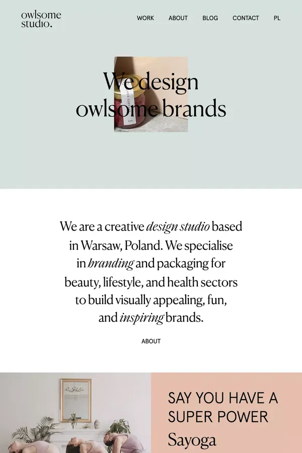 We are owlsome - Portfolio design inspiration