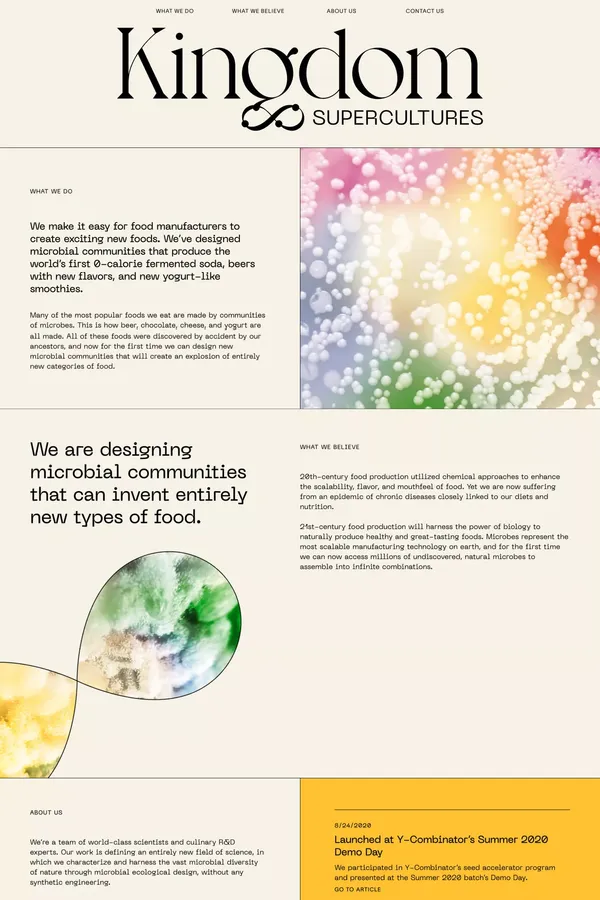 Kingdom Supercultures - Other design inspiration