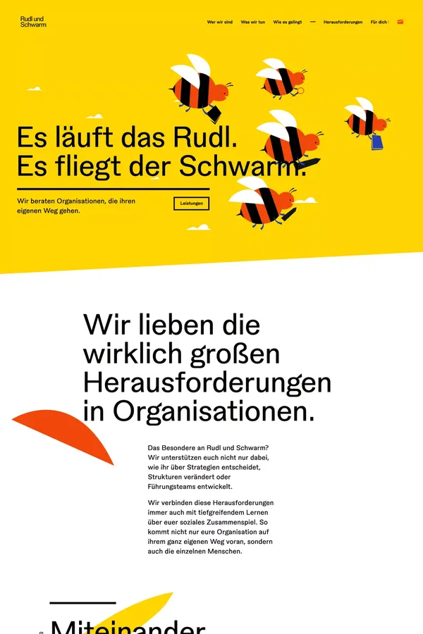 Rudl und Schwarm - Organisationsberatung - Portfolio design inspiration