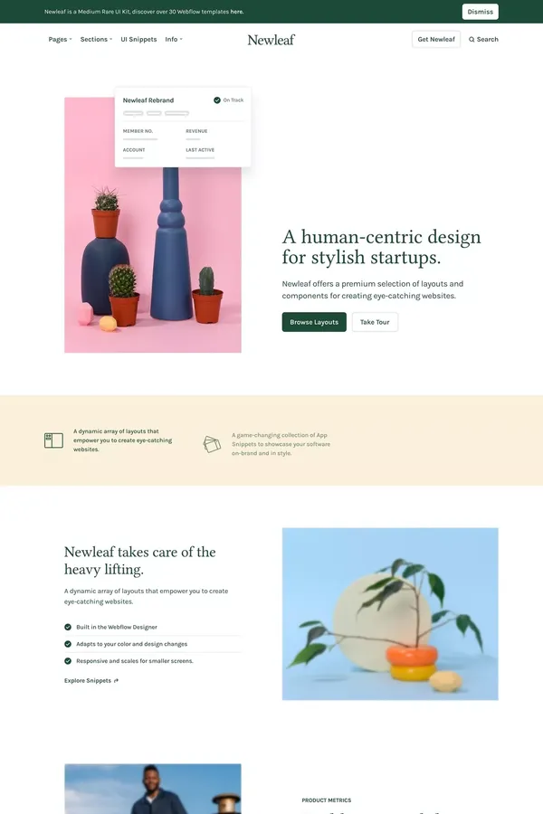 Newleaf - Startup Webflow Template - Template design inspiration