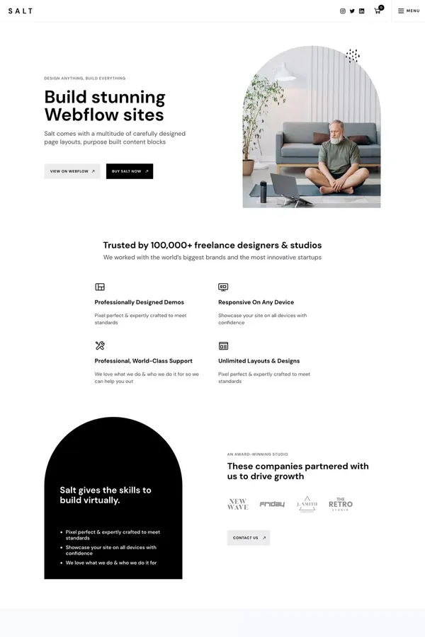 Salt - Startup Webflow Template - Template design inspiration