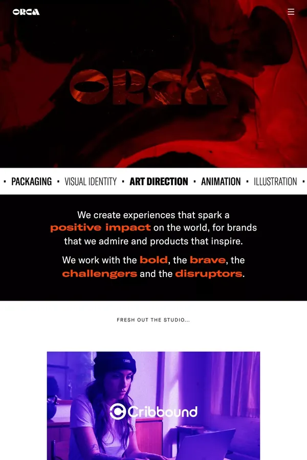 ORCA - Building bold, disruptive challenger brands - Portfolio design inspiration