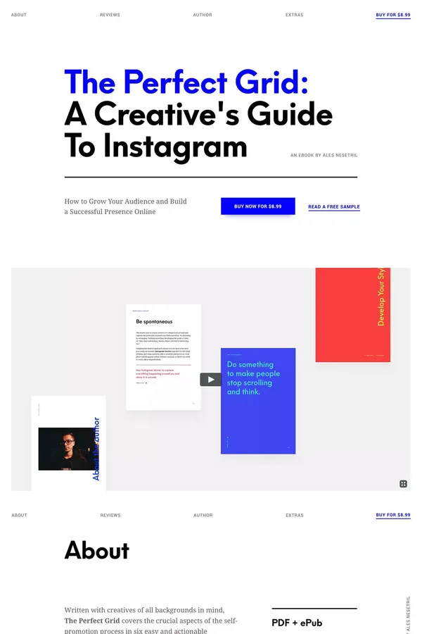 The Perfect Grid by Ales Nesetril - Landing design inspiration