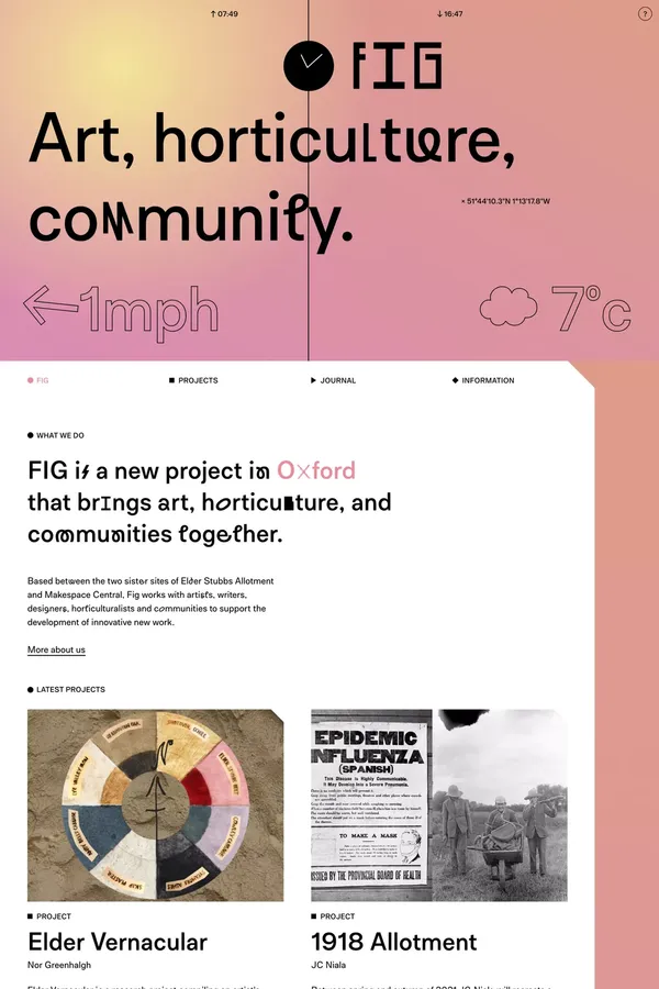 Fig - Other design inspiration