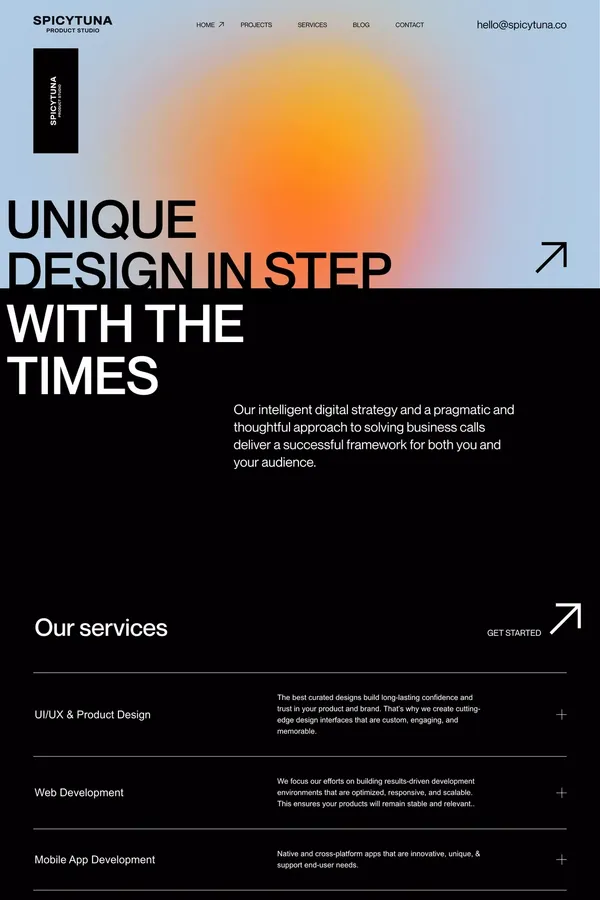 Web Design & Mobile App | Tampa, FL | SpicyTuna Design - Portfolio design inspiration