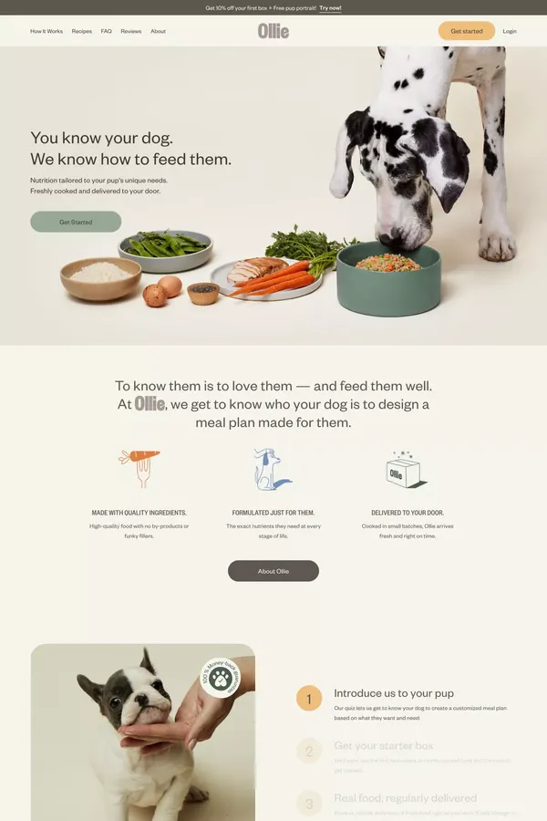 Healthier, Custom Human-Grade Dog Food Delivered - Ecommerce design inspiration