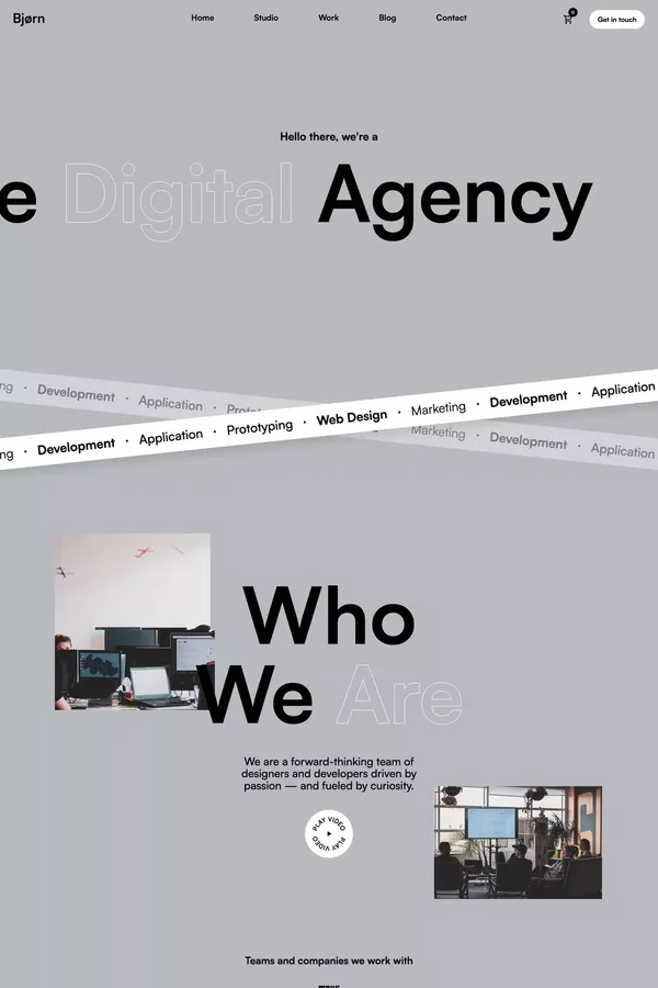Bjørn - Webflow Website Template - Template design inspiration