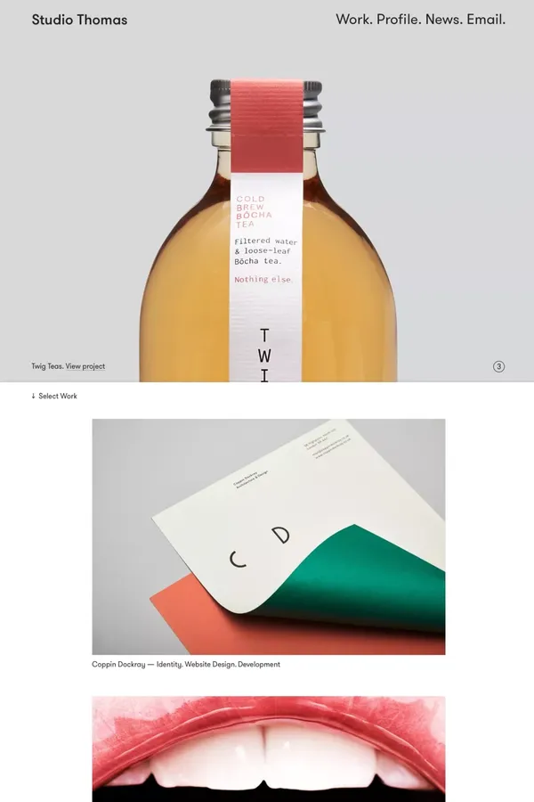 Studio Thomas - Portfolio design inspiration