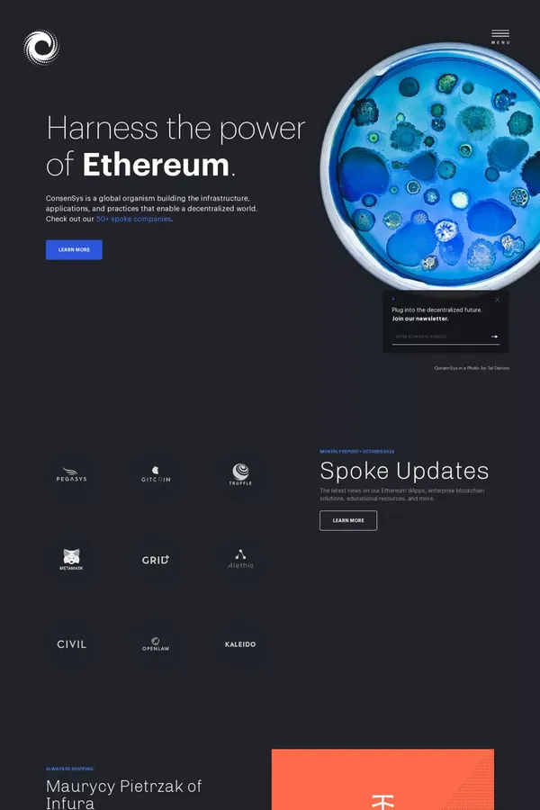 Blockchain Technology Solutions - Financial Services - Education - Community | ConsenSys - Portfolio design inspiration