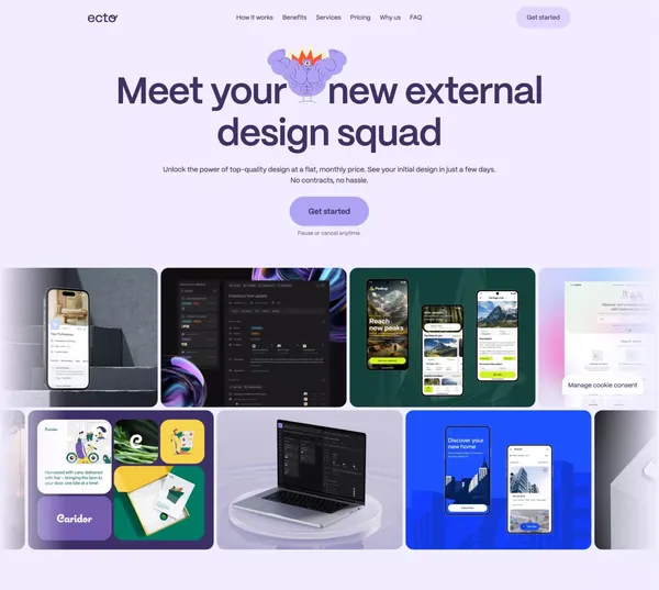 Ecto Design - Efficient subscription-based design service - Landing design inspiration