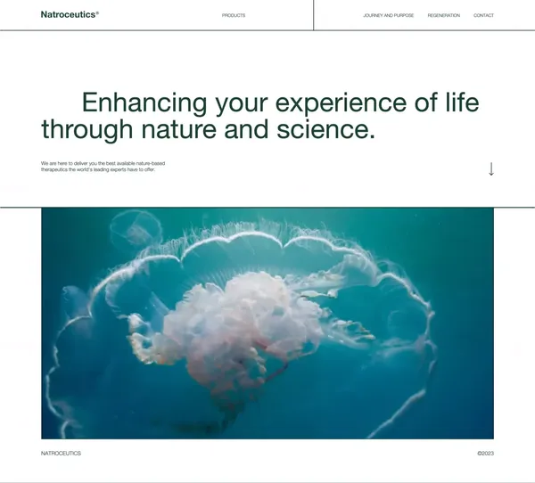 Natroceutics - Landing design inspiration