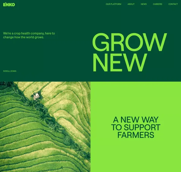 ENKO – GROW NEW - Landing design inspiration