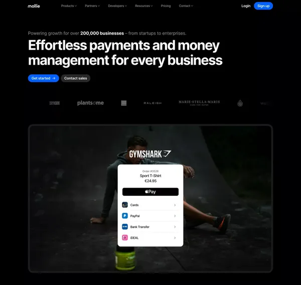 Mollie - Effortless Payments and Money Management - Landing design inspiration