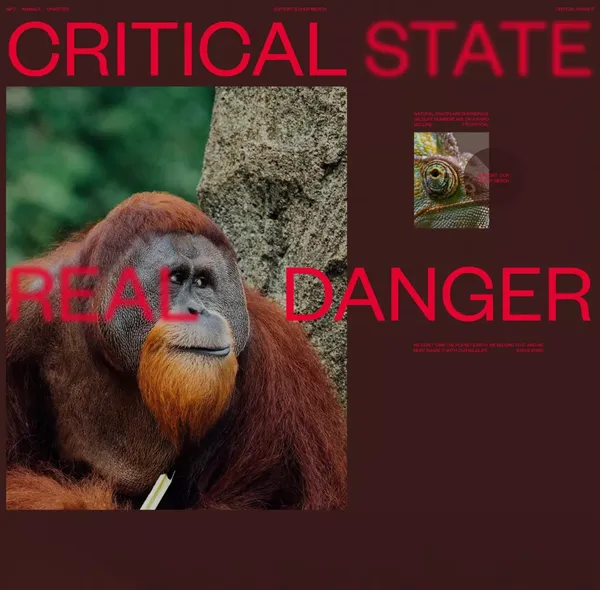 Critical Danger | Supporting Endangered Animals - Other design inspiration