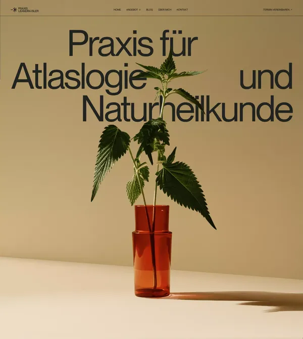 Atlaslogie und Naturheilkunde in Zürich – Praxis Leandra Isler - Landing design inspiration