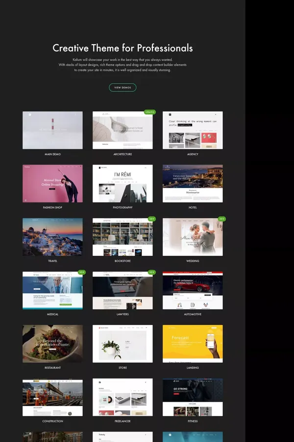 Kalium | Creative Theme for Professionals - website design inspiration