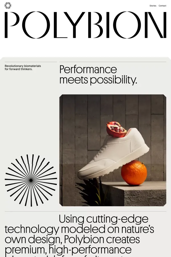 Polybion - Portfolio design inspiration