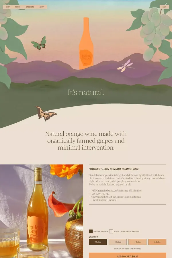 Fallen Grape | Natural Wine For All - Ecommerce design inspiration