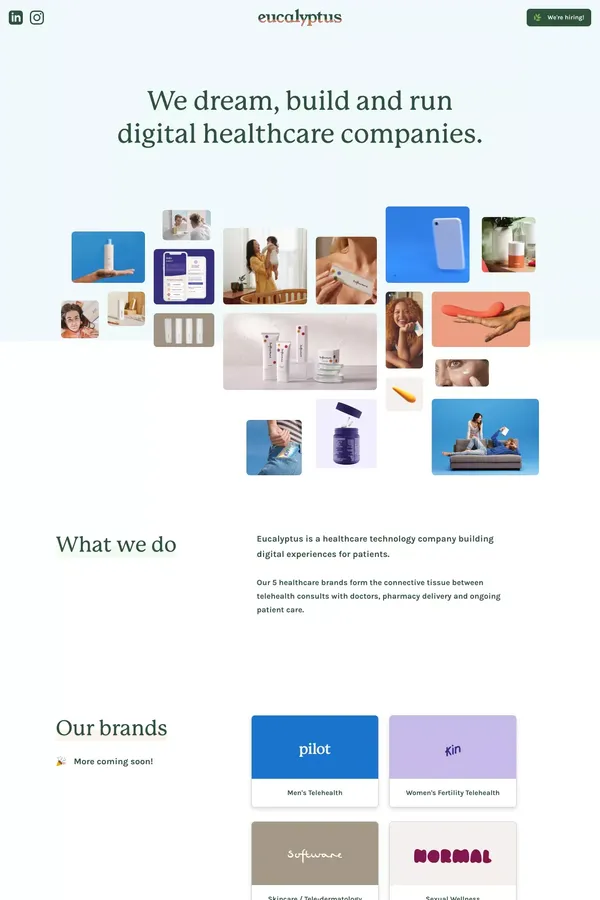 Eucalyptus - Portfolio design inspiration