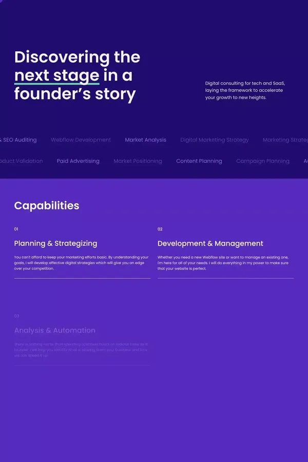 Digital Marketing Consultant | franulovic - Portfolio design inspiration
