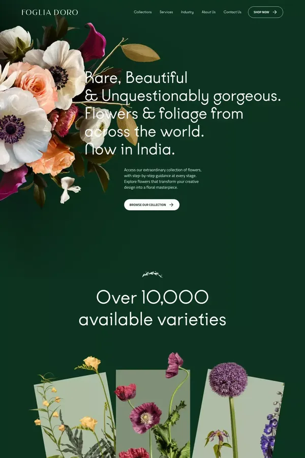 Foglia D’Oro - Portfolio design inspiration