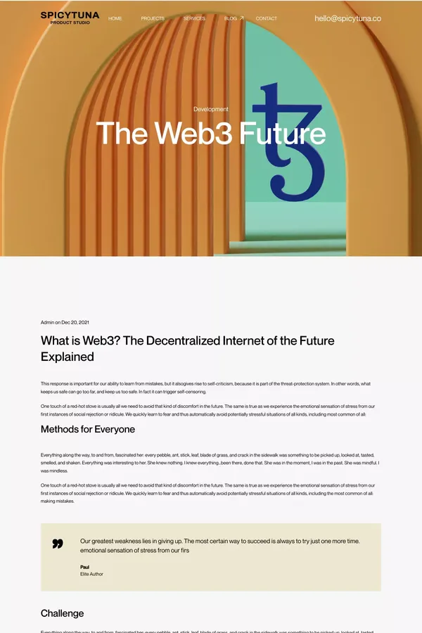 Web3, the Future Internet | Tampa, FL | SpicyTuna Design - Blog Post design inspiration