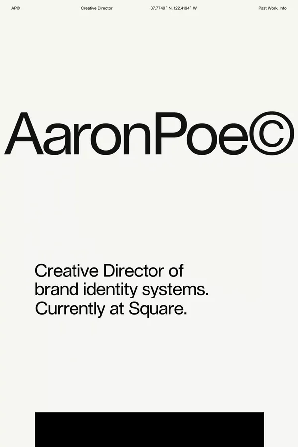 Aaron Poe &amp; Co - Portfolio design inspiration