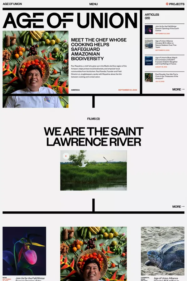 Age of Union - Blog design inspiration