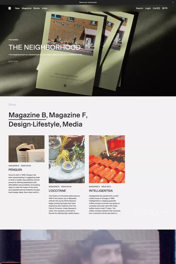 Magazine B - Other design inspiration