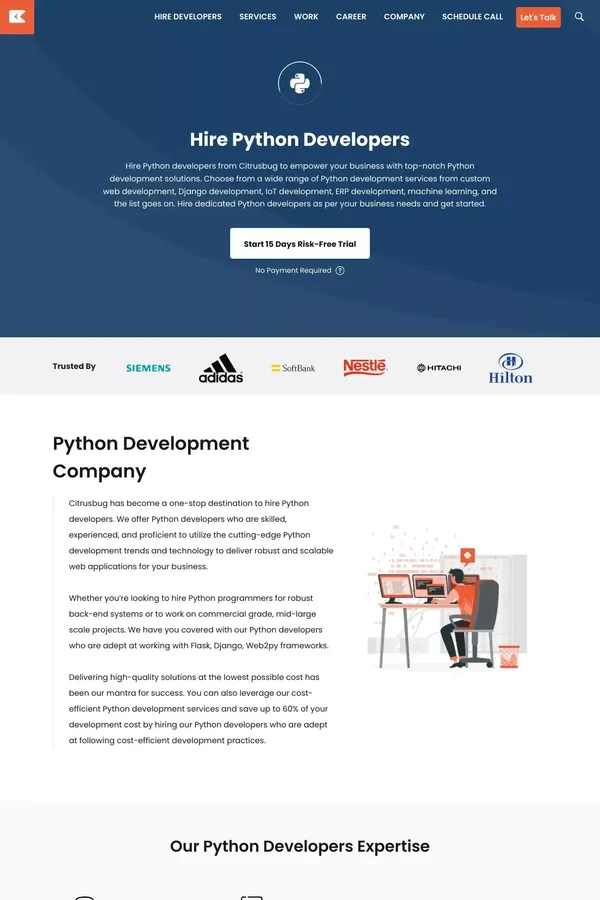Hire Python Developers | Python Development Company - website design inspiration