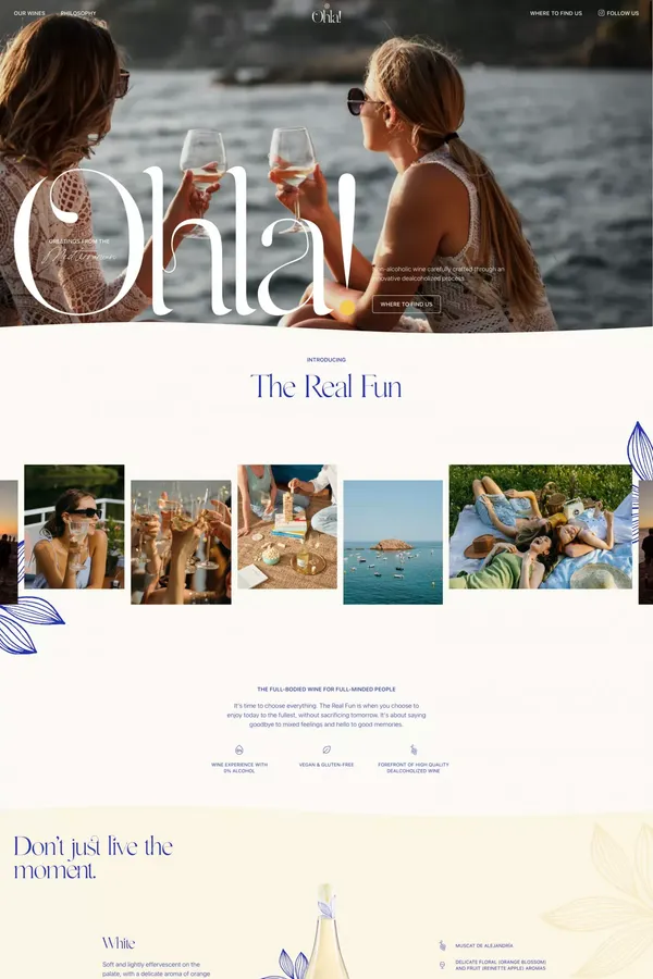 Ohla Wines - The full-bodied wine for full-minded people - Landing design inspiration