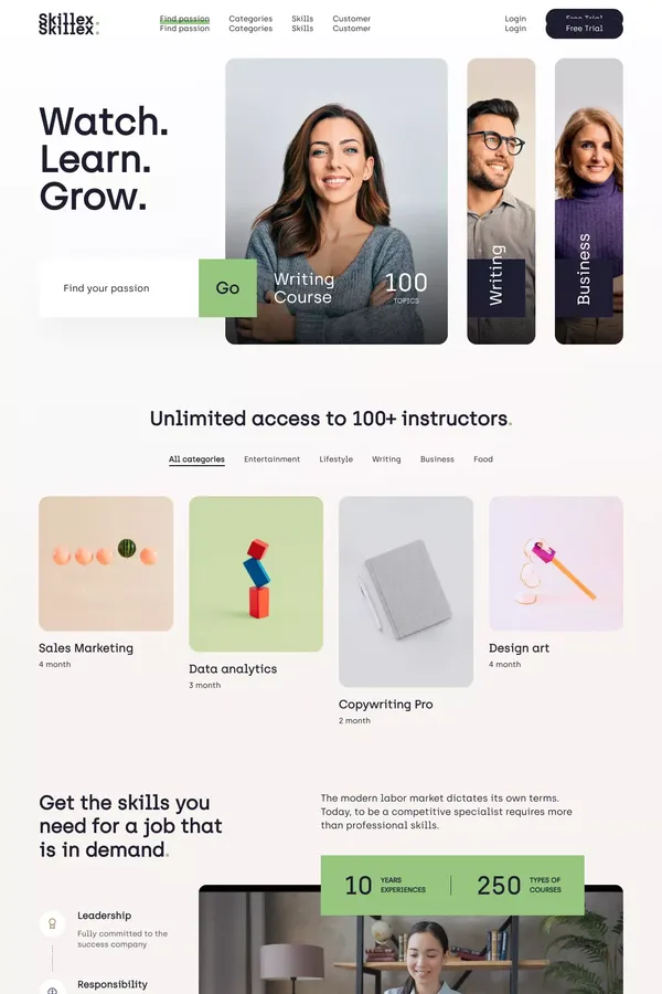 Skillex Online Education