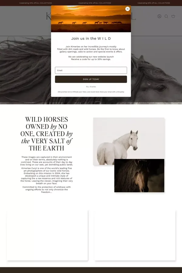 Wild Horse Fine Art Photographer Kimerlee Curyl
    
    
    
      – Kimerlee Curyl Wild Horse Photography