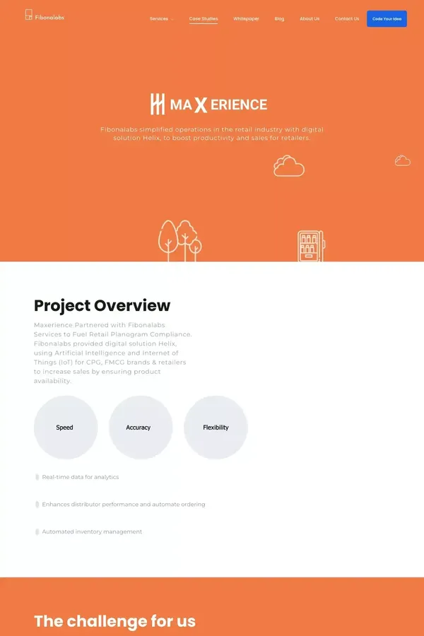 Business Transformation Consulting Companies | Fibonalabs