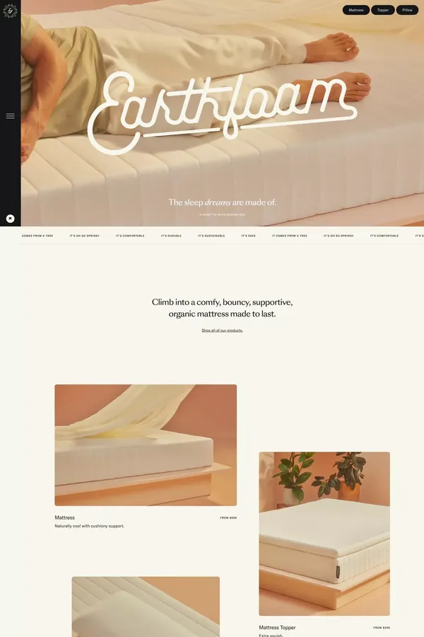 Earthfoam - Ecommerce design inspiration