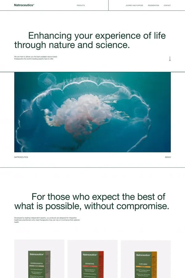 Natroceutics - Landing design inspiration