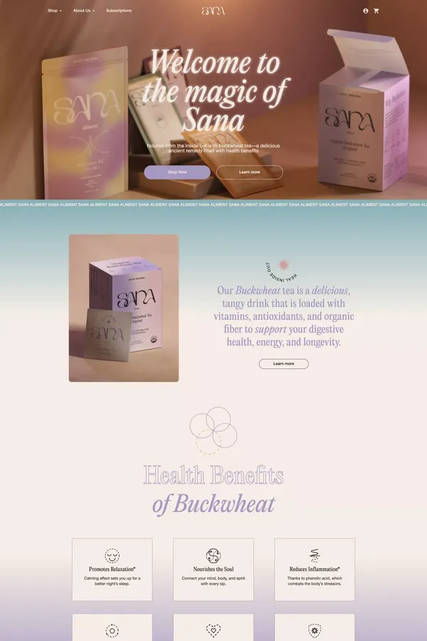 sanaliment - Ecommerce design inspiration